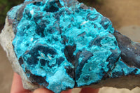 Natural Silica Chrysocolla Specimens  x 2 From Congo