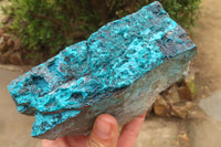 Natural Silica Chrysocolla Specimens  x 2 From Congo