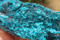 Natural Silica Chrysocolla Specimens  x 2 From Congo