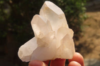 Natural Clear Quartz Clusters  x 12 From Madagascar