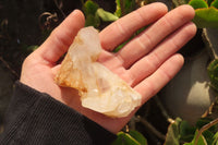 Natural Clear Quartz Clusters  x 12 From Madagascar