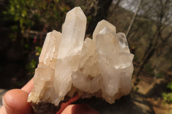 Natural Clear Quartz Clusters  x 12 From Madagascar