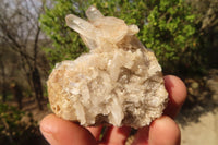 Natural Clear Quartz Clusters  x 12 From Madagascar