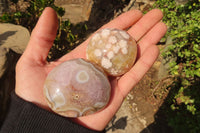 Polished Ocean Flower Agate Galets  x 12 From Madagascar