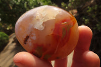 Polished Ocean Flower Agate Galets  x 12 From Madagascar