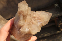 Natural Cascading Smokey Quartz Clusters  x 2 From Congo