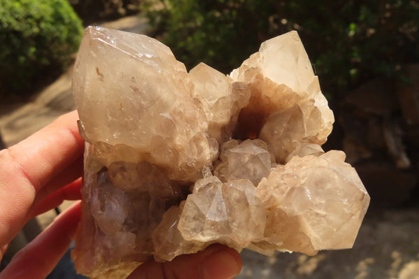 Natural Cascading Smokey Quartz Clusters  x 2 From Congo