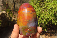 Polished Red Jasper Standing Free Forms  x 3 From Southern Africa