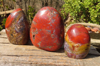 Polished Red Jasper Standing Free Forms  x 3 From Southern Africa