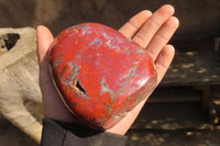 Polished Red Jasper Standing Free Forms  x 3 From Southern Africa