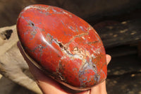 Polished Red Jasper Standing Free Forms  x 3 From Southern Africa