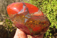 Polished Red Jasper Standing Free Forms  x 3 From Southern Africa