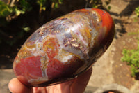 Polished Red Jasper Standing Free Forms  x 3 From Southern Africa