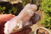 Natural Spirit Ametrine Quartz Specimens  x 6 From South Africa