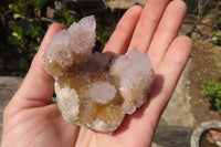 Natural Ametrine Spirit Quartz Clusters x 12 From Boekenhouthoek, South Africa