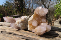 Natural Ametrine Spirit Quartz Clusters x 12 From Boekenhouthoek, South Africa