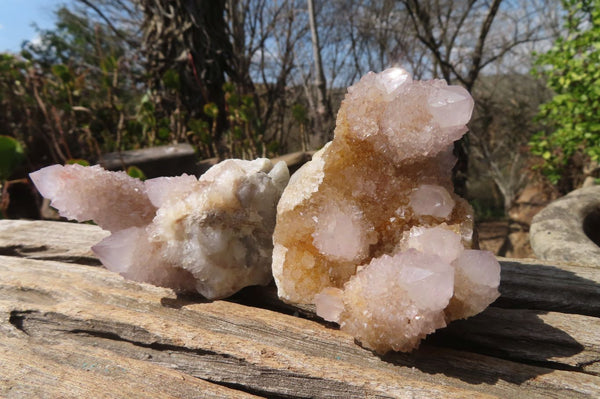 Natural Ametrine Spirit Quartz Clusters x 12 From Boekenhouthoek, South Africa