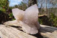 Natural Ametrine Spirit Quartz Clusters x 12 From Boekenhouthoek, South Africa