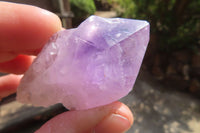 Natural Jacaranda Amethyst Single Crystals x 35 From Mumbwe, Zambia