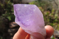 Natural Jacaranda Amethyst Single Crystals x 35 From Mumbwe, Zambia