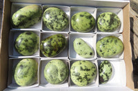 Polished Leopard Stone Galet / Palm Stones x 12 From Inyanga, Zimbabwe