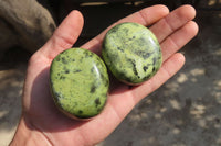 Polished Leopard Stone Galet / Palm Stones x 12 From Inyanga, Zimbabwe