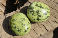 Polished Leopard Stone Galet / Palm Stones x 12 From Inyanga, Zimbabwe