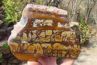 Polished One Side Nguni Jasper Specimens x 2 From Prieska, South Africa