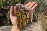 Polished One Side Nguni Jasper Specimens x 2 From Prieska, South Africa