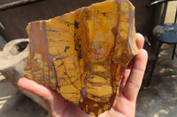 Polished One Side Nguni Jasper Specimens x 2 From Prieska, South Africa