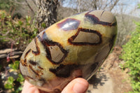 Polished Septerye Standing Free Forms x 2 From Mahajanga, Madagascar