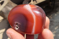 Polished Red Sache River Agate Nodules x 12 From Sache River, Zimbabwe