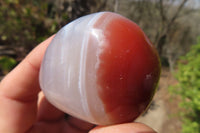 Polished Red Sache River Agate Nodules x 12 From Sache River, Zimbabwe