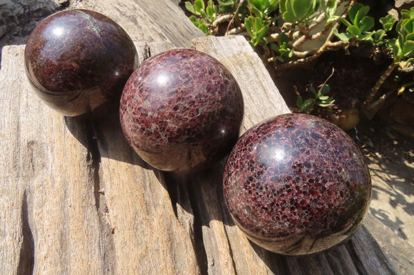 Polished Pyrope Garnet Matrix Spheres x 3 From Mahajanga, Madagascar