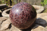 Polished Pyrope Garnet Matrix Spheres x 3 From Mahajanga, Madagascar