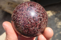 Polished Pyrope Garnet Matrix Spheres x 3 From Mahajanga, Madagascar