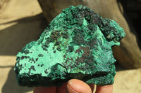 Natural Silky Malachite Specimens x 6 From Kasompe, Congo