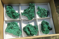 Natural Silky Malachite Specimens x 6 From Kasompe, Congo