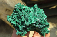 Natural Silky Malachite Specimens x 6 From Kasompe, Congo