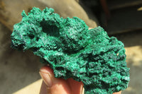 Natural Silky Malachite Specimens x 6 From Kasompe, Congo