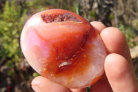 Polished Carnelian Agate Galet / Palm Stones x 12 From Madagascar