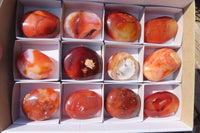 Polished Carnelian Agate Galet / Palm Stones x 12 From Madagascar