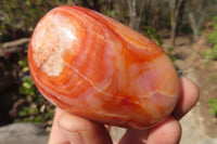 Polished Carnelian Agate Galet / Palm Stones x 12 From Madagascar