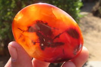 Polished Carnelian Agate Galet / Palm Stones x 12 From Madagascar