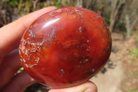 Polished Carnelian Agate Galet / Palm Stones x 12 From Madagascar