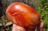 Polished Carnelian Agate Galet / Palm Stones x 12 From Madagascar