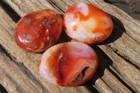 Polished Carnelian Agate Galet / Palm Stones x 12 From Madagascar