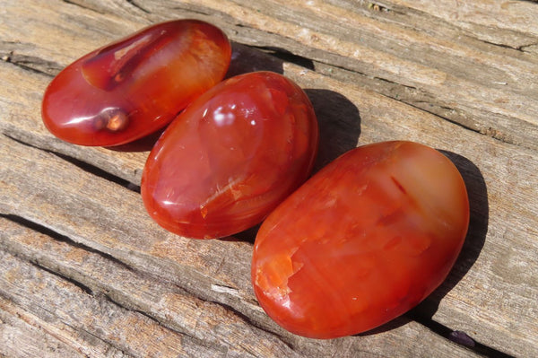 Polished Carnelian Agate Galet / Palm Stones x 12 From Madagascar