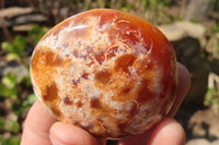 Polished Carnelian Agate Galet / Palm Stones x 12 From Madagascar