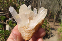 Natural Quartz Cluster x 12 From Ambatofinandrahana, Madagascar